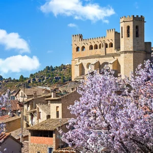 MATARRAÑA CON AGUINALDO – 7 DE DICIEMBRE