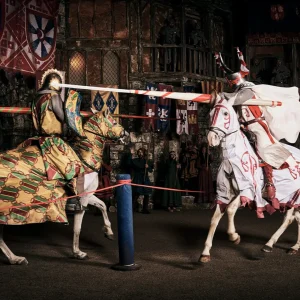 PUY DU FOU Y TOLEDO – 17/18 DE ABRIL