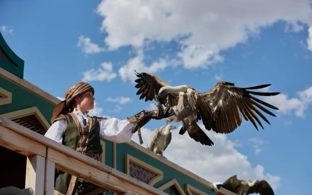 PUY DU FOU Y TOLEDO – 17/18 DE OCTUBRE