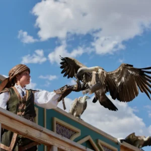 PUY DU FOU Y TOLEDO – 17/18 DE OCTUBRE