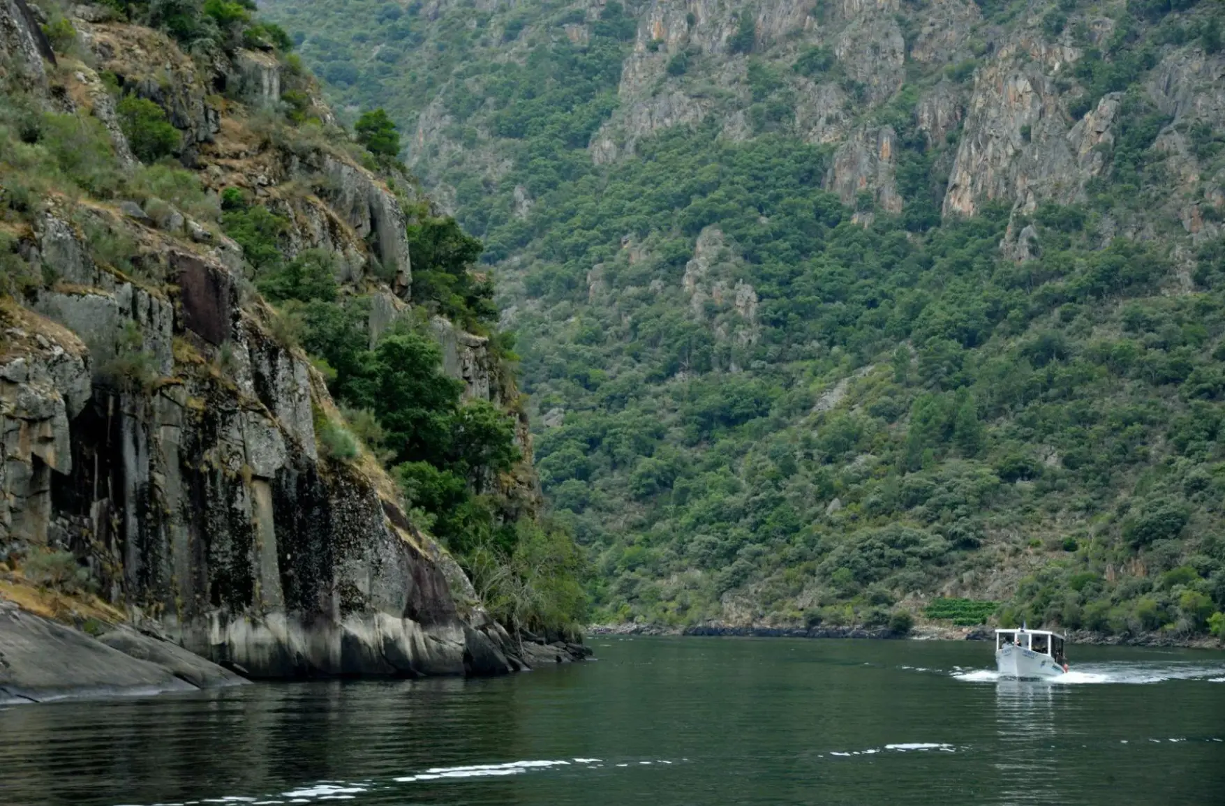 RIBEIRA SACRA Y BAIXO MIÑO ¡SEGUNDA FECHA!