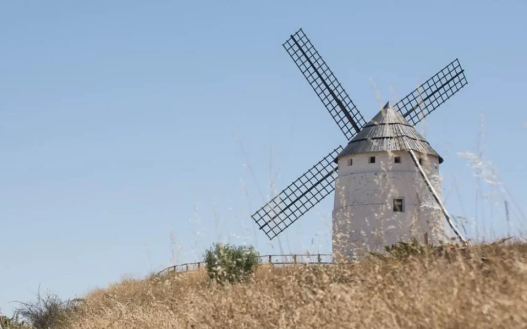 AZAFRAN DE ARAGON